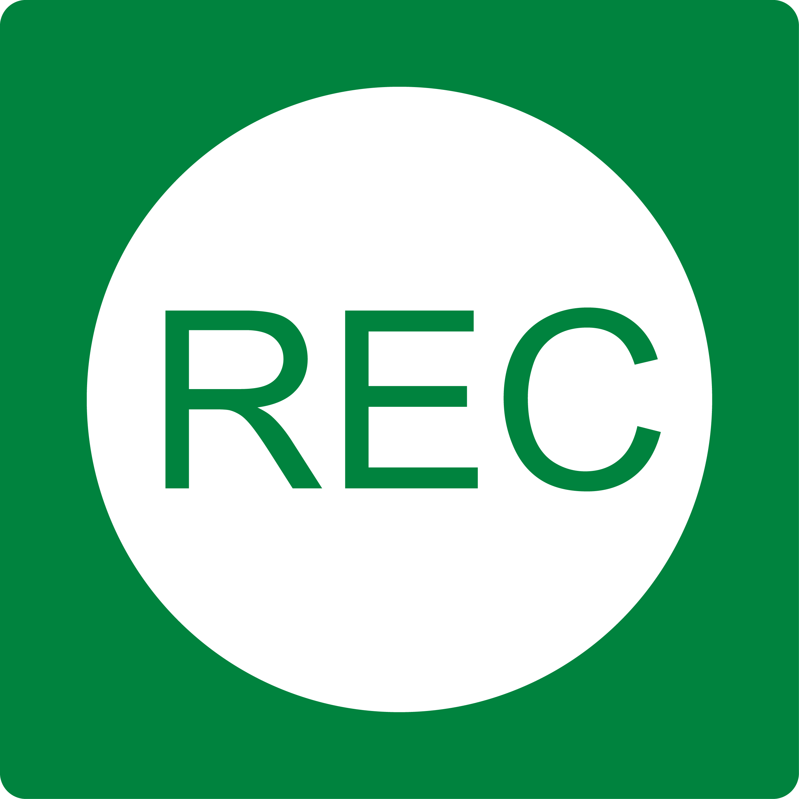 Web Conferencing, Companion Web&trade;